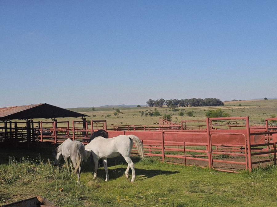 17 Bedroom Property for Sale in Ladybrand Free State